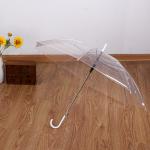 Creative Fresh Long Handle Transparent Umbrella Colorful Straight Rod Rain Umbrella Automatic Logo Advertising Gift