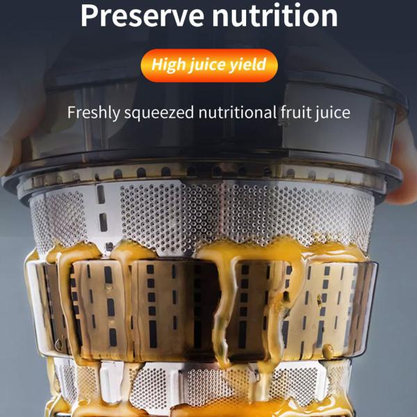 Masticating Juicer