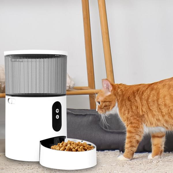 Bowls/Feeders