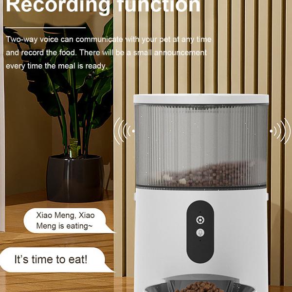 Bowls/Feeders