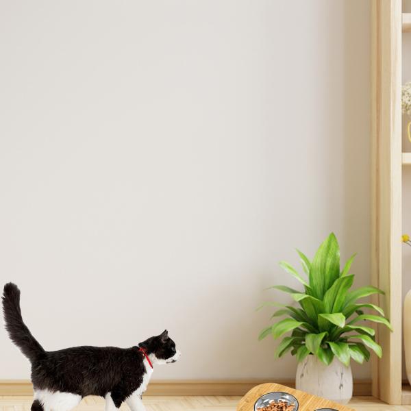 Bowls/Feeders