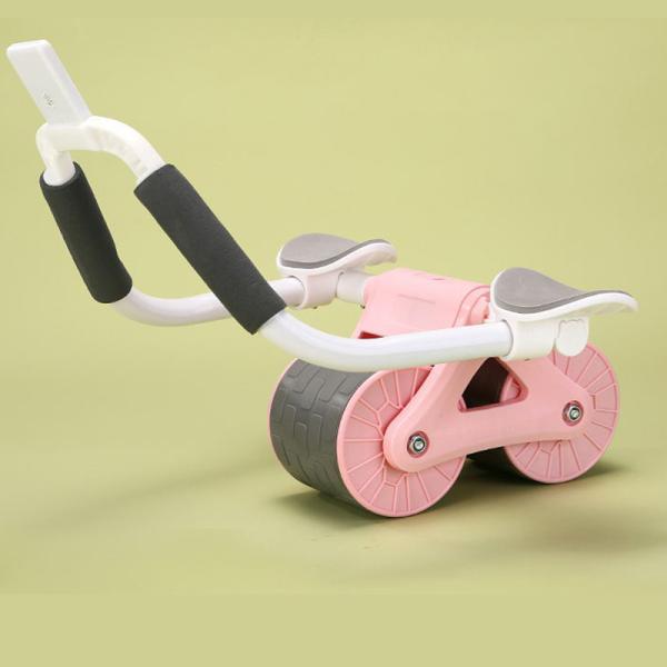 Core & Abdominal Trainers