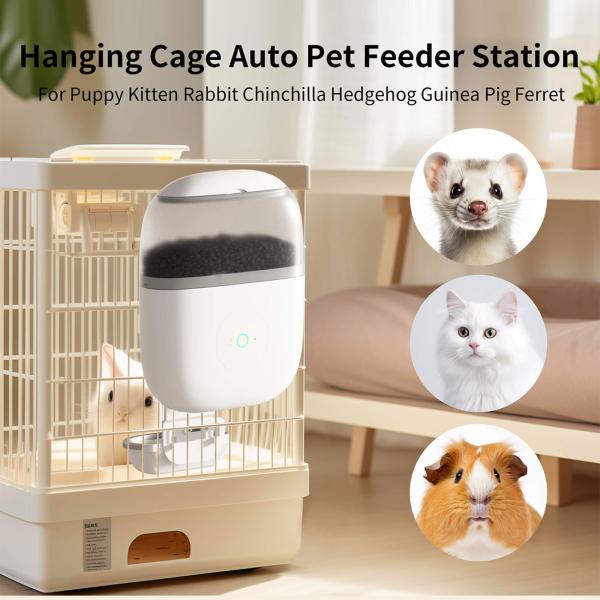 Bowls/Feeders