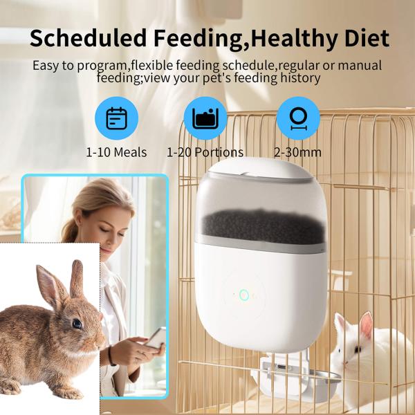 Bowls/Feeders