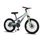 Kids Bikes