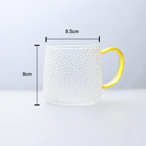 Glass Water Cup With Handle