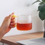 Glass Water Cup With Handle