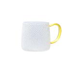 Glass Water Cup With Handle