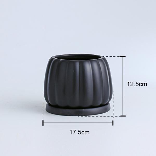 Ceramic Flowerpot With Ceramic Tray