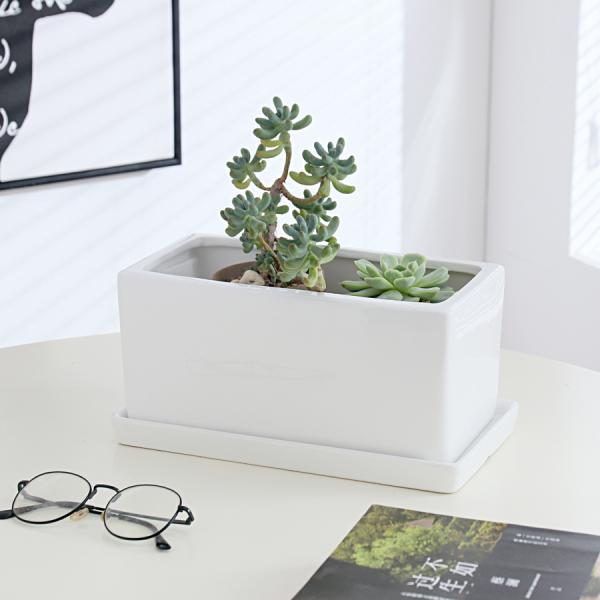 White Ceramic Flowerpot