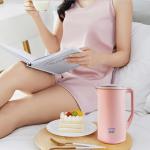 Mixer Grinder