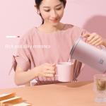 Mixer Grinder