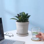 Cement Flowerpot With Tray