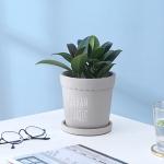 Cement Flowerpot With Tray