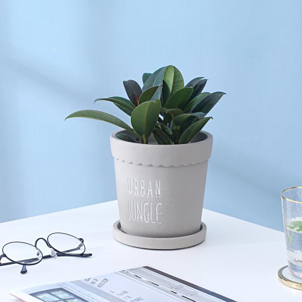 Cement Flowerpot With Tray