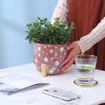 Indoor Cement Flowerpot