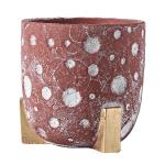 Indoor Cement Flowerpot