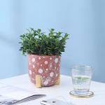 Indoor Cement Flowerpot