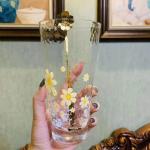 Glass Water Cup