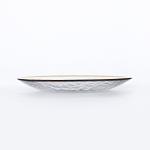 10 inch Glass Plate