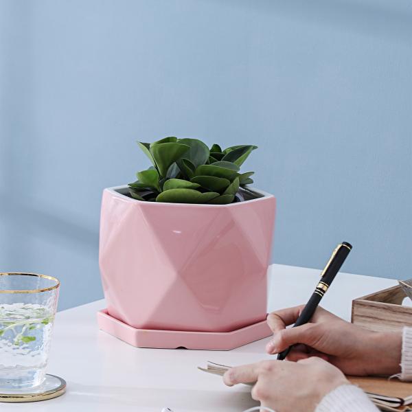 Pots, Planters & Container Accessories