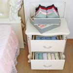 Closet Underwear Organizer
