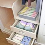 Closet Underwear Organizer
