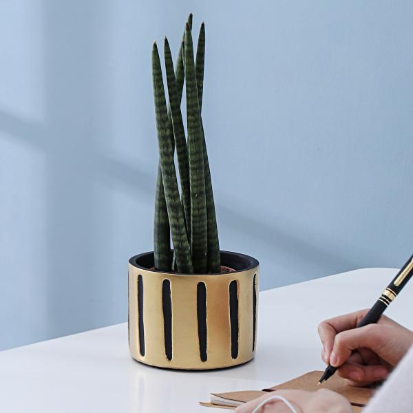 Pots, Planters & Container Accessories