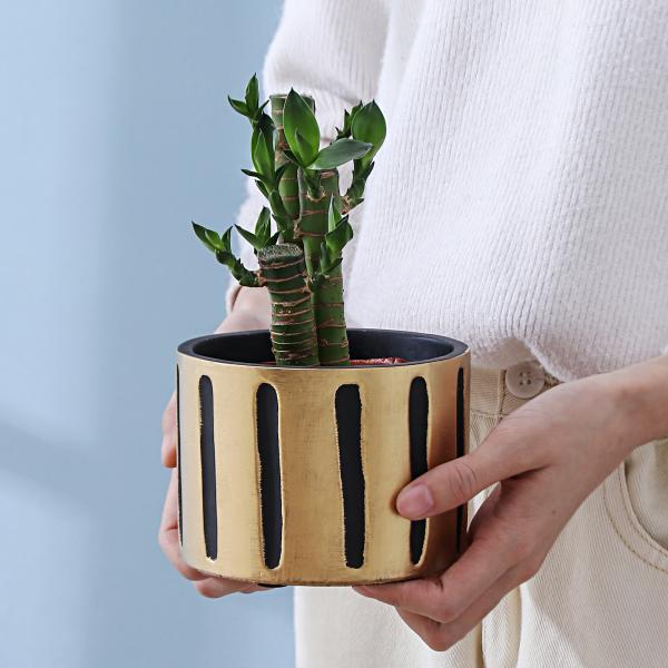 Pots, Planters & Container Accessories