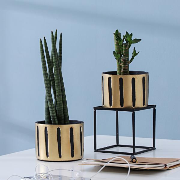 Pots, Planters & Container Accessories