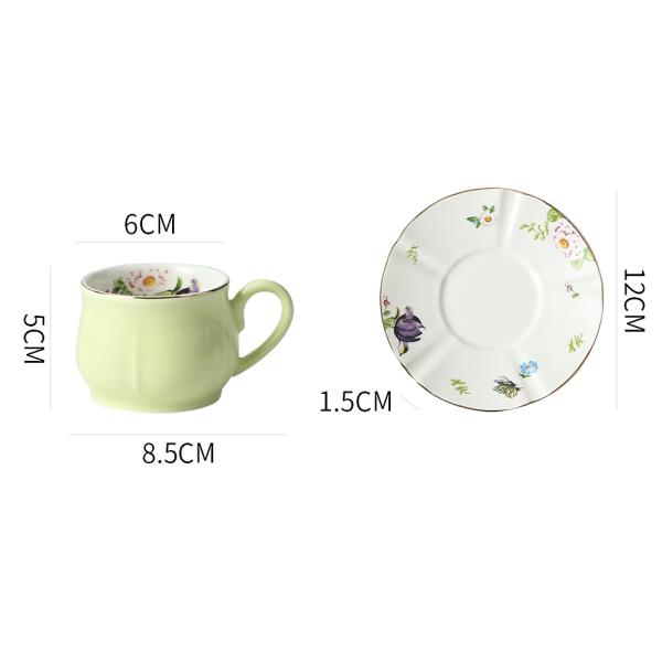 Cup & Saucer