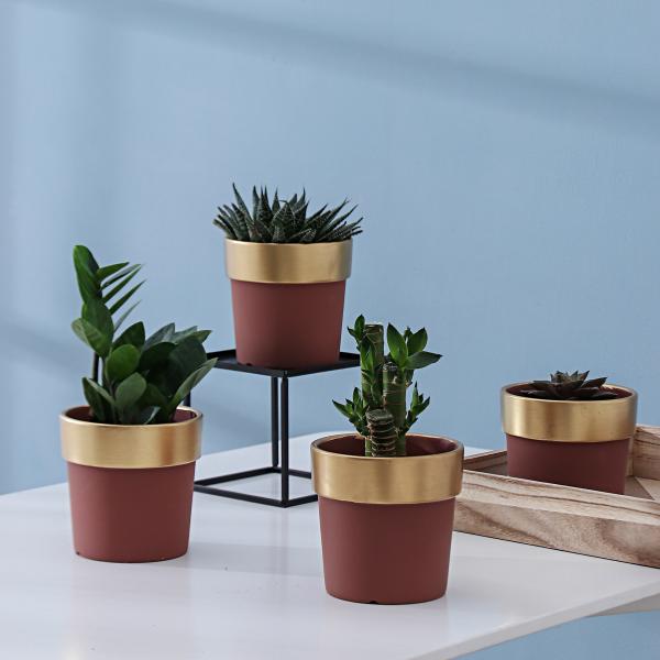 Pots, Planters & Container Accessories