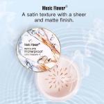 Face Powder Loose