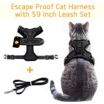 Collars/Harness/Leashes/Leads