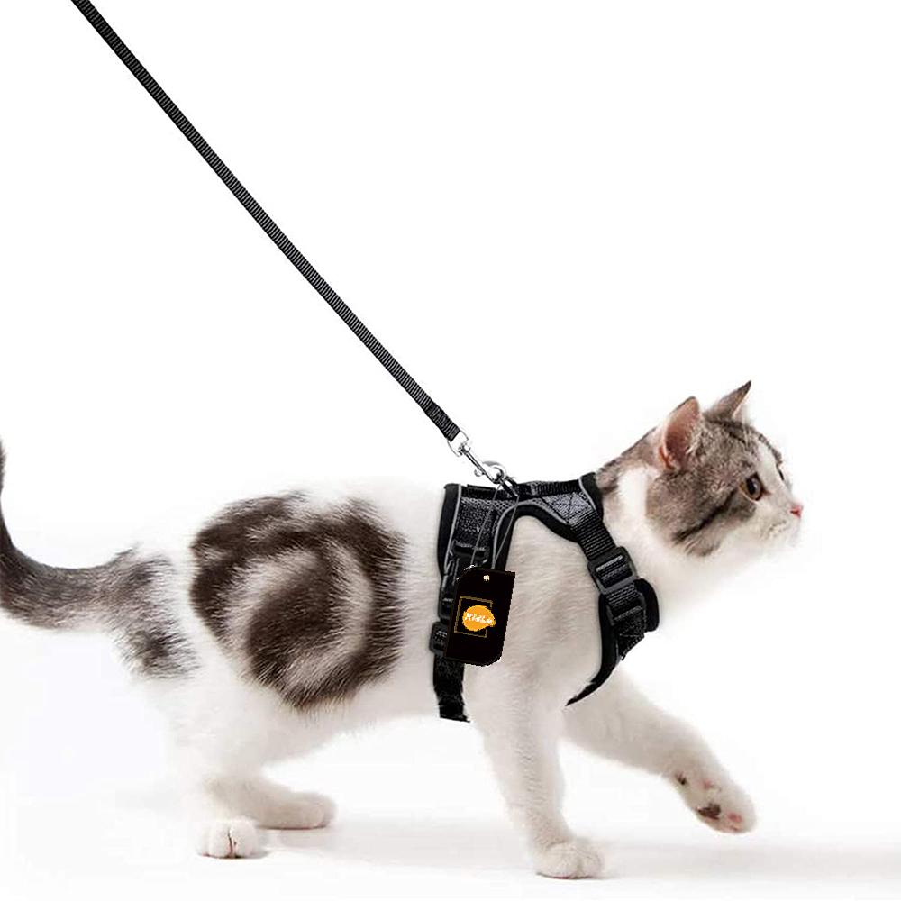 Collars/Harness/Leashes/Leads