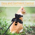 Collars/Harness/Leashes/Leads