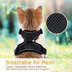 Collars/Harness/Leashes/Leads