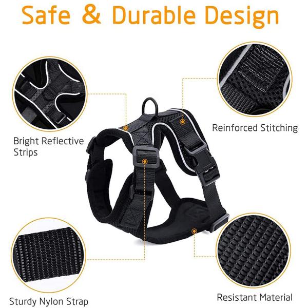 Collars/Harness/Leashes/Leads