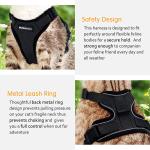 Collars/Harness/Leashes/Leads