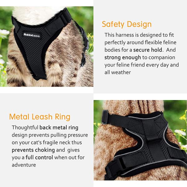 Collars/Harness/Leashes/Leads
