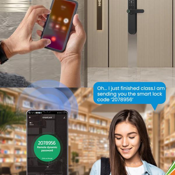 Door Hardware & Locks