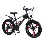 Kids Bikes