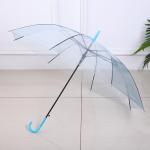 Creative Fresh Long Handle Transparent Umbrella Colorful Straight Rod Rain Umbrella Automatic Logo Advertising Gift
