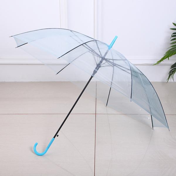 Creative Fresh Long Handle Transparent Umbrella Colorful Straight Rod Rain Umbrella Automatic Logo Advertising Gift