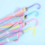 Creative Fresh Long Handle Transparent Umbrella Colorful Straight Rod Rain Umbrella Automatic Logo Advertising Gift
